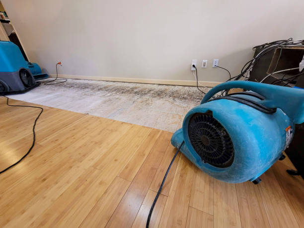 Professional Basement Flood Cleanup technician working in Brea, CA